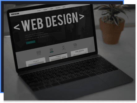 Professional web design