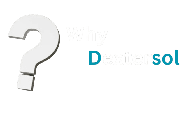 best web design services with dextersol